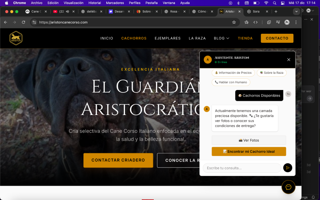 Chat del Asistente Virtual