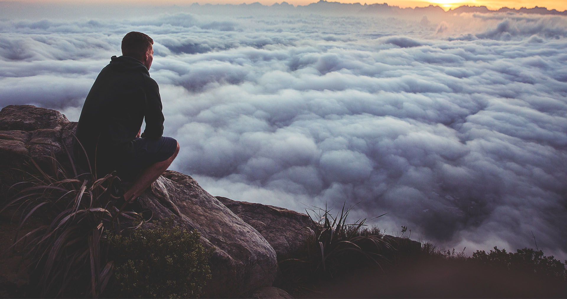 Imagen del artículo