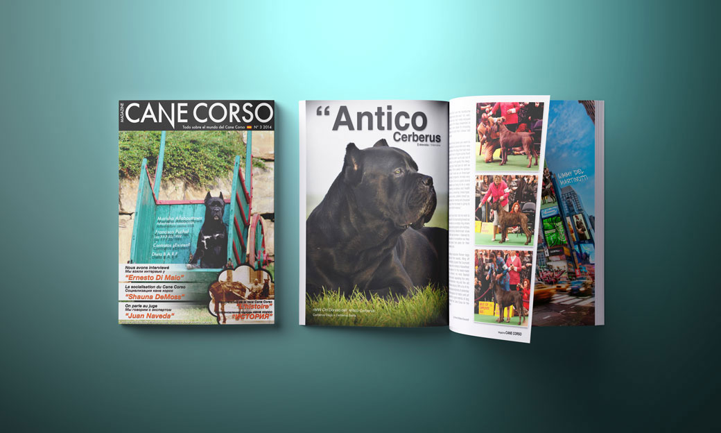 Magazine – Maquetación editorial